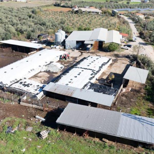 Διεργασία Ενσίρωσης